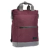 Friluft Tagesrucksack Teo Wine Red